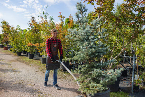 Best Seasonal Cleanup  in St Cloud, MN